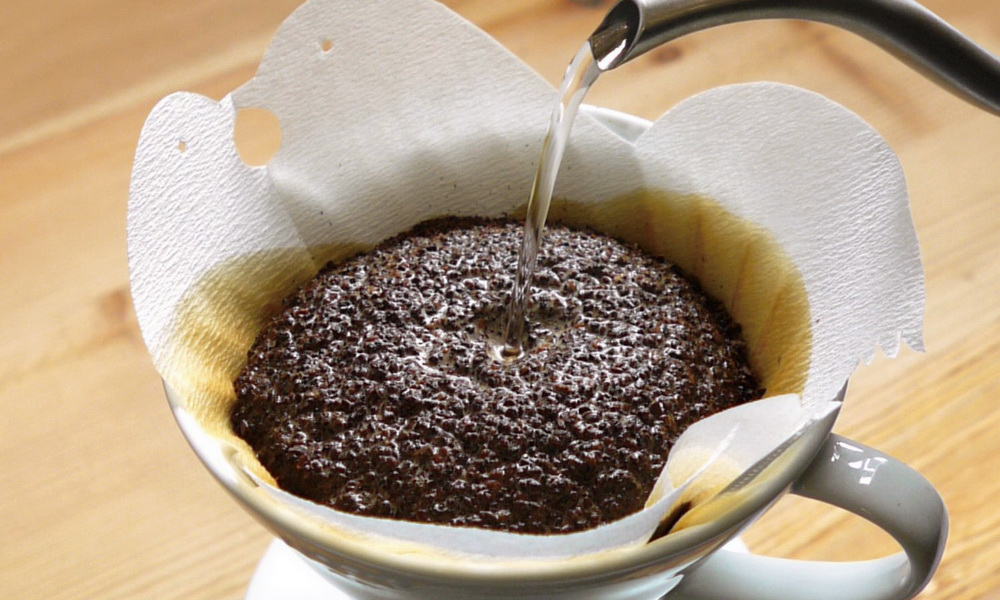 Are Paper Coffee Filters Biodegradable?