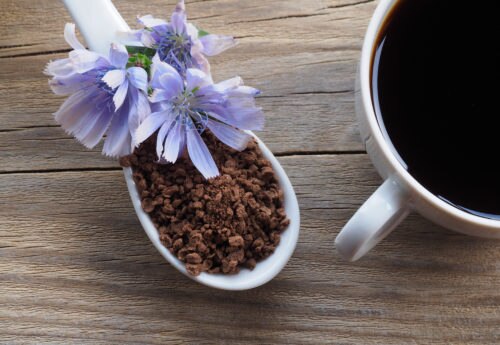 How To Prepare Chicory Root For Coffee