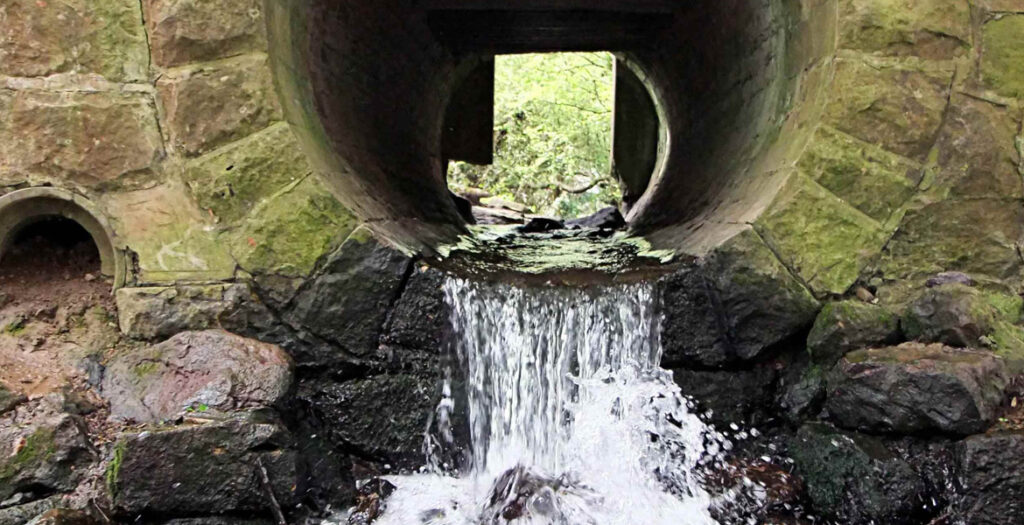 What Destroys A Septic System?