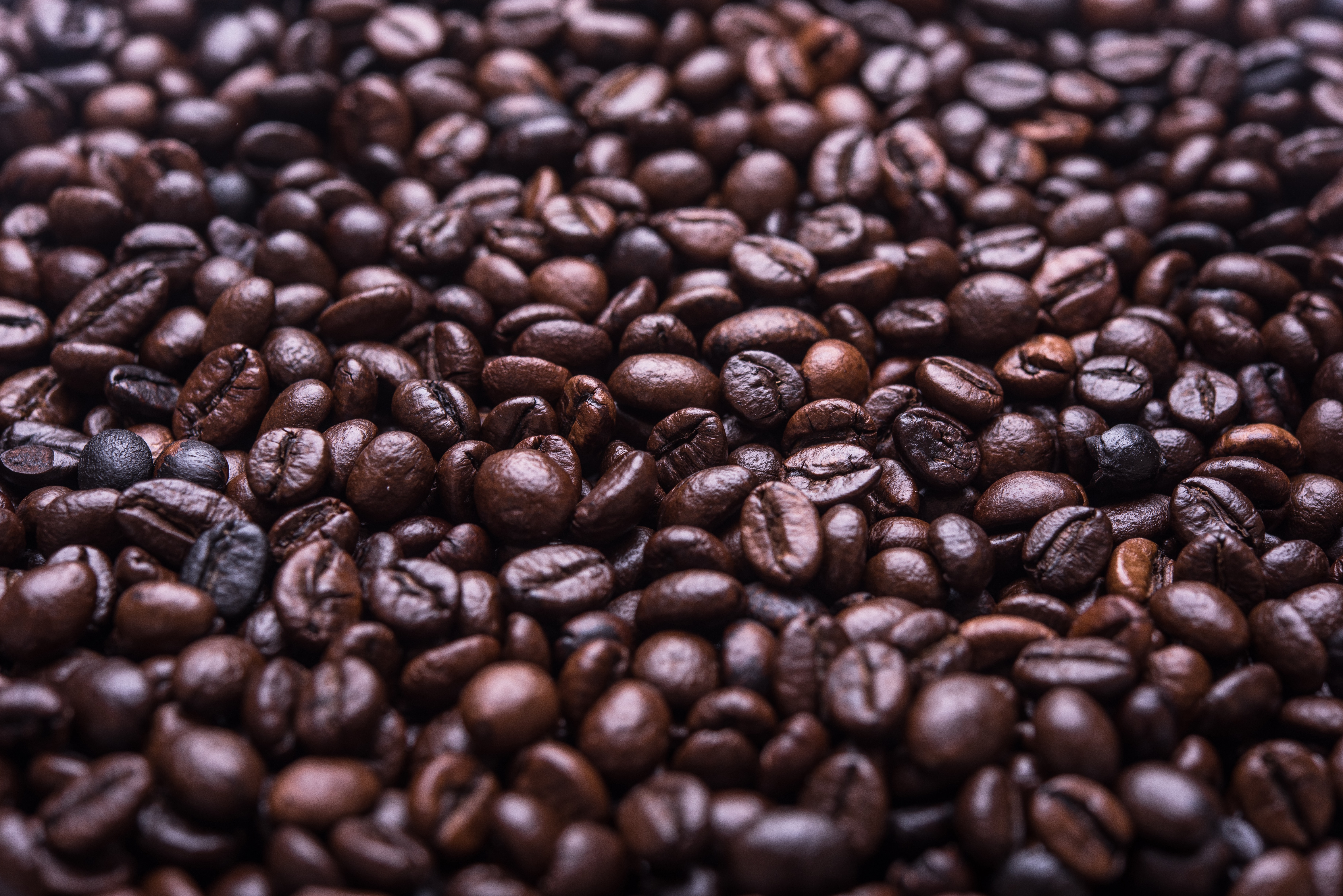What Is A Roasted Coffee Bean?