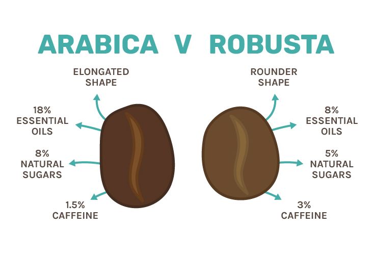 What Temperature Should Coffee Beans Be Stored At?