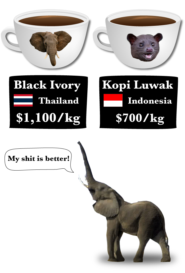 Why Is Elephant Poop Coffee So Expensive